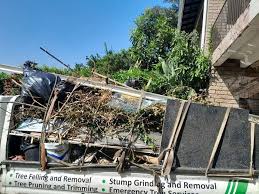 Best Residential Junk Removal  in Fremont, CA